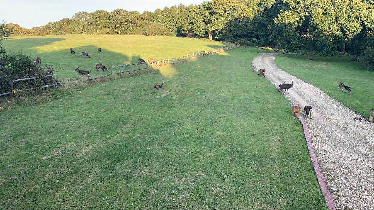 Yards Brake On 40 Acres Of Private Land Villa Langton Matravers Exterior photo