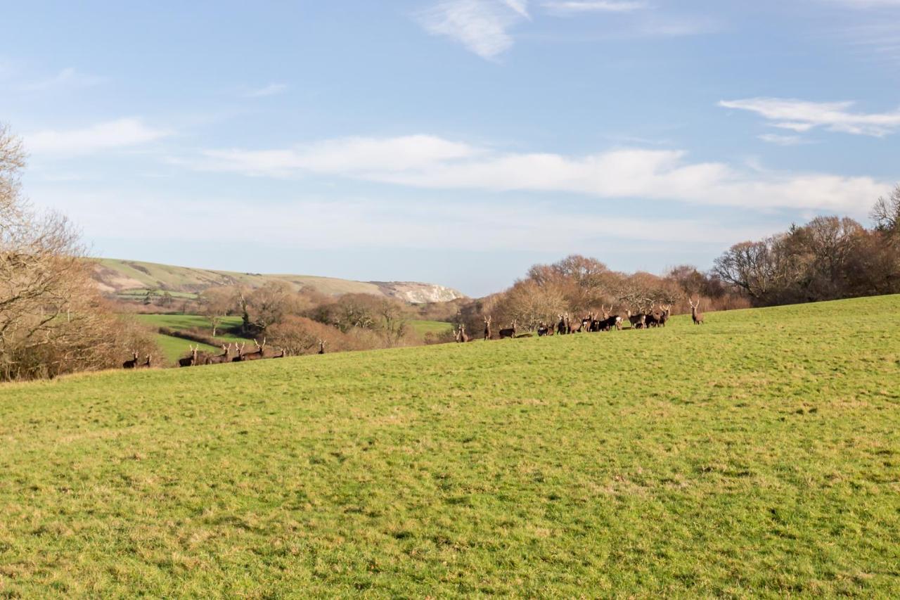 Yards Brake On 40 Acres Of Private Land Villa Langton Matravers Exterior photo